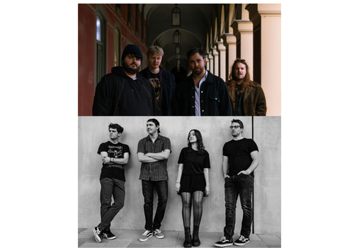 Falling For Roza | The Racoons