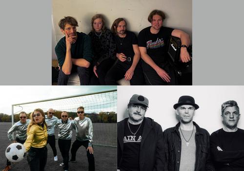 Bunte Rabe|Federnelken|ALL MY MONSTERS